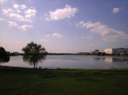 公園 湖